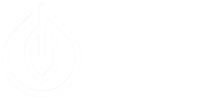 EasyBrand.biz Plattform